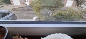 Fenster 1.jpeg