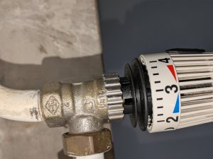 PXL_20250329_172447078.jpg