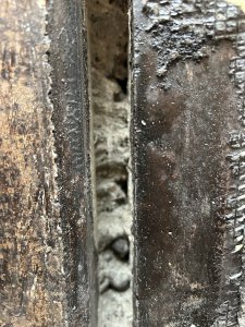 IMG_7780.jpeg