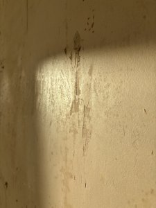 IMG_1653.jpeg