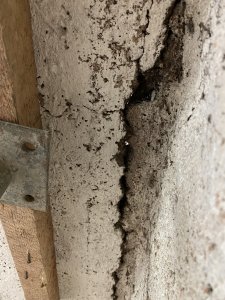 IMG_6470.jpeg