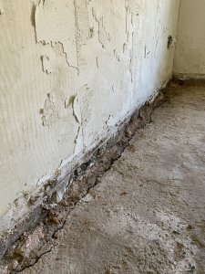 IMG_6471.jpeg