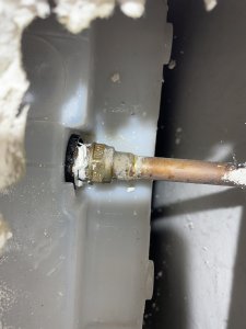 IMG_6087.jpeg
