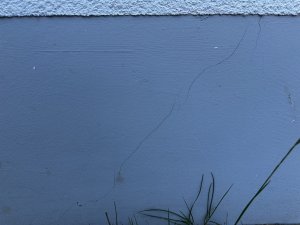 IMG_5420.jpeg