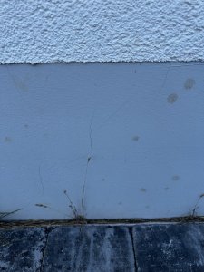 IMG_5418.jpeg