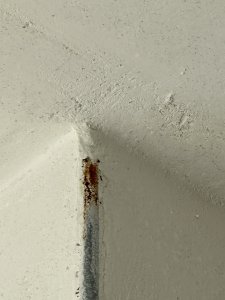 IMG_9391.jpeg