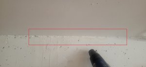 20250408_163018.jpg