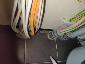 IMG_20250415_062621.jpg