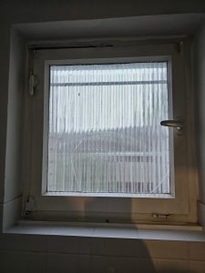 20250416_184303.jpg
