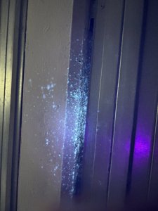 IMG_7409.jpeg