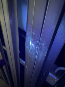 IMG_7405.jpeg