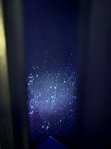 IMG_7422.jpeg