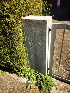 IMG_20250403_125434.jpg