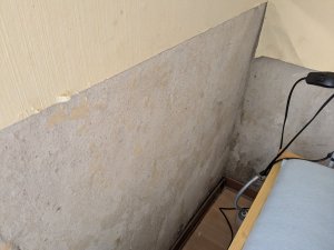 PXL_20250428_071937534.MP.jpg