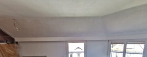 IMG_20250429_124736.jpg