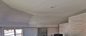 IMG_20250429_124729.jpg