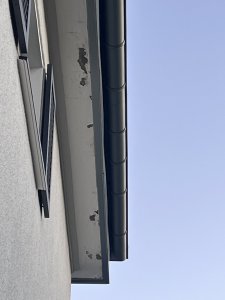 IMG_5243.jpeg