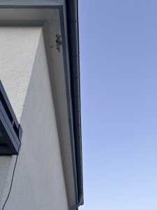 IMG_5235.jpeg