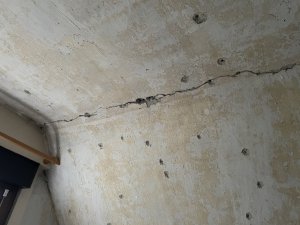 IMG_9699.JPG