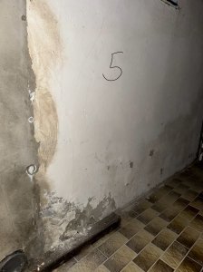 IMG_1116.jpg