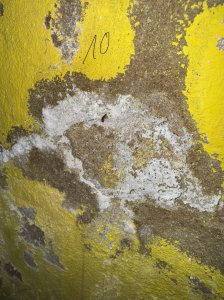IMG_1121.jpg