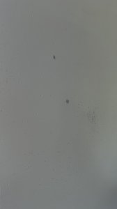 IMG_0861.jpeg