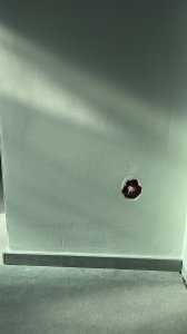 IMG_0866.jpeg