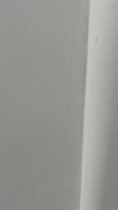 IMG_0868.jpeg