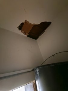 IMG_20250513_194127.jpg