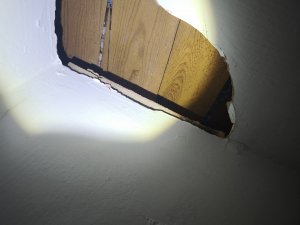 IMG_20250513_193235.jpg