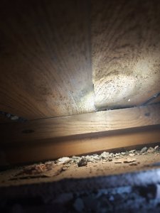 IMG_20250513_193216.jpg