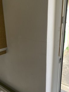IMG_5913.jpeg