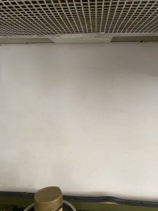 IMG_5916.jpeg