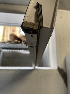 IMG_7334.jpeg