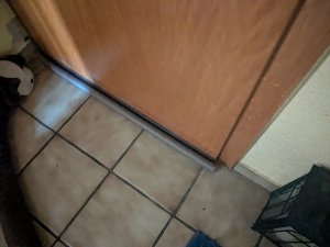 PXL_20250518_101342787.jpg