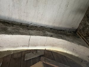 IMG_2877.jpeg