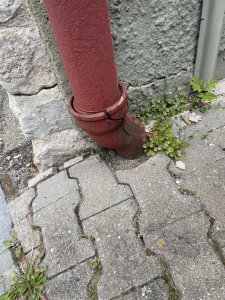 IMG_2898.jpeg