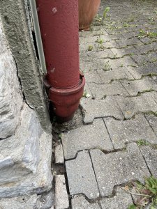 IMG_2899.jpeg