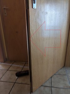 PXL_20250519_063820869.jpg