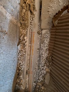 IMG_3698.jpeg