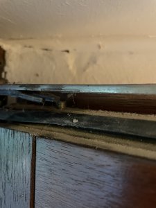 IMG_0579.jpeg
