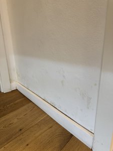 O39 Wasserschaden 2025-05-21 0851 2.jpeg