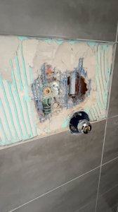 IMG_3653.jpeg
