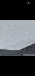 IMG_3716.png