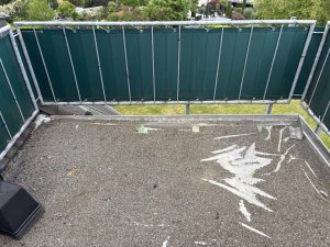 IMG_0862.jpeg