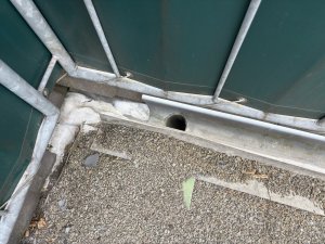 IMG_0863.jpeg
