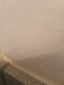 IMG20250522093829.jpg