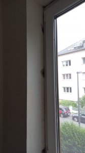IMG-20250523-WA0029.jpg