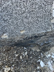 IMG_3766.jpeg