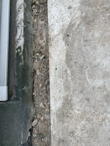 IMG_5343.jpeg